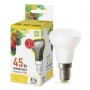 купить в Перми Лампа светодиодная ASD LED-R39-standart 5Вт Е14
