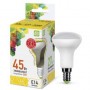 купить в Перми Лампа светодиодная ASD LED-R50-standart 3Вт