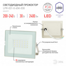 Прожектор светодиодный ЭРА LPR-031-0-65K-030 белый